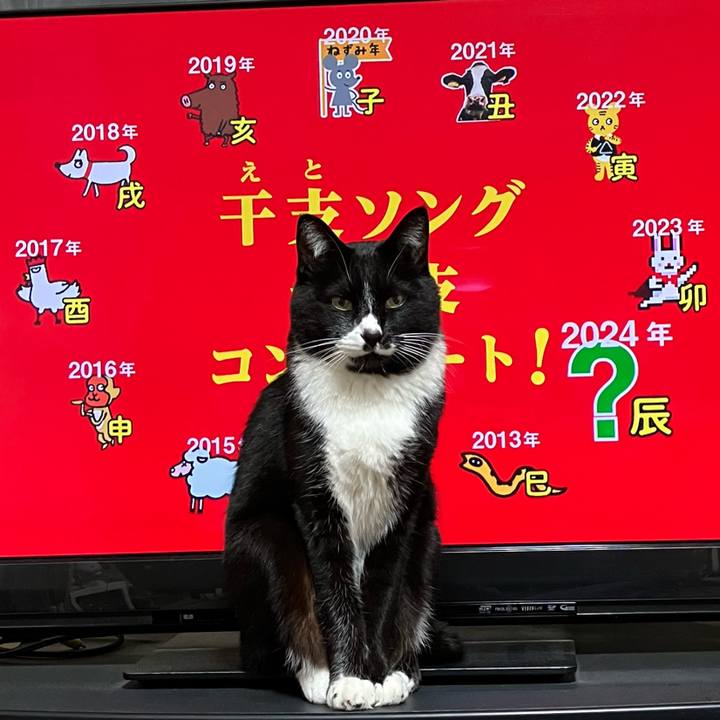 0de9de24 3ec9 470e 8965 543a0653fac4 1704038122325