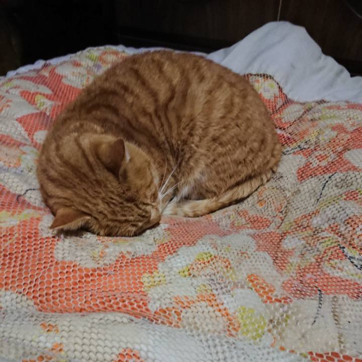 0dea1212 23db 4b9e 990d 25f6bdcb2d21 1578225676538