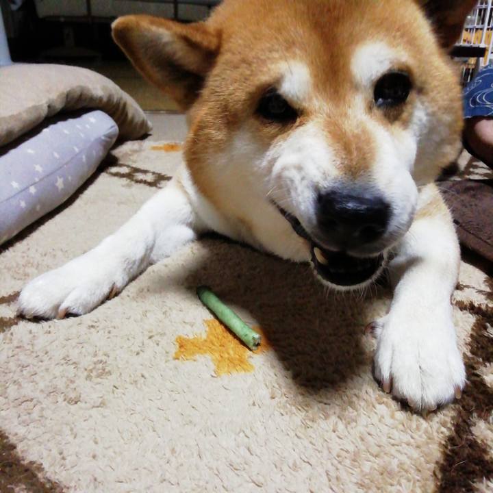 0deaa0ec 92a1 4f03 a197 a1b2ccba5584 1623887246519