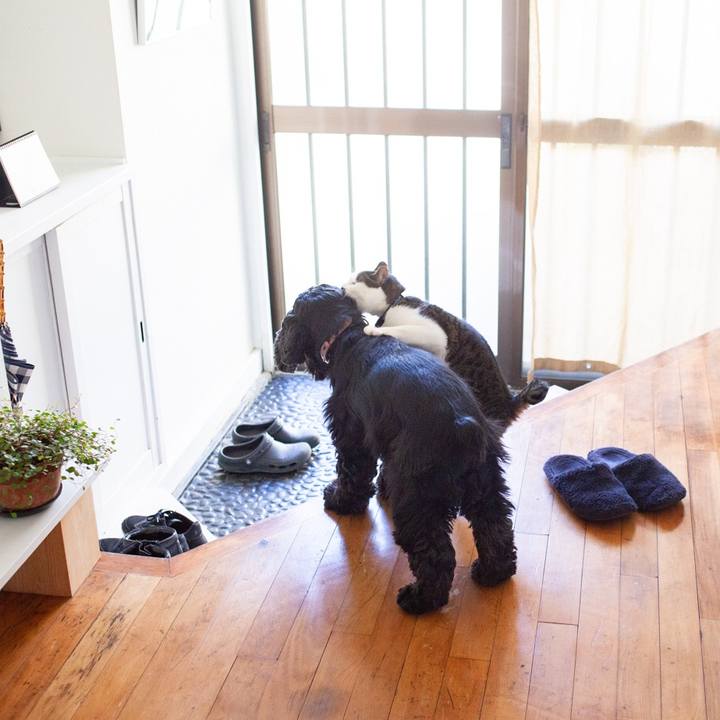 0deb083e 5529 4747 93e1 fd96b494b530 1548238888860