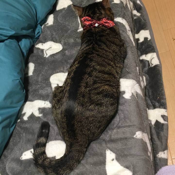 0deb0b56 48a1 4577 89cb 55ba2c6cf24f 1545614907682