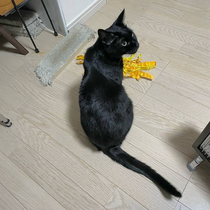 0deb0d5d 3734 48cd 8185 fce949026ea9 1703083673833