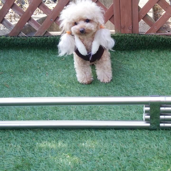 0deb133d f786 4771 9044 71c7662639cb 1543494348589