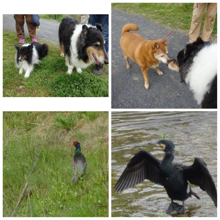 0deb386c 14ce 43f0 a17e 23cc2d397009 1586095042456