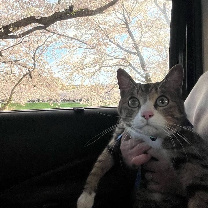 0deb4acf 47b6 4f9f b588 32615398cc49 1775466264528