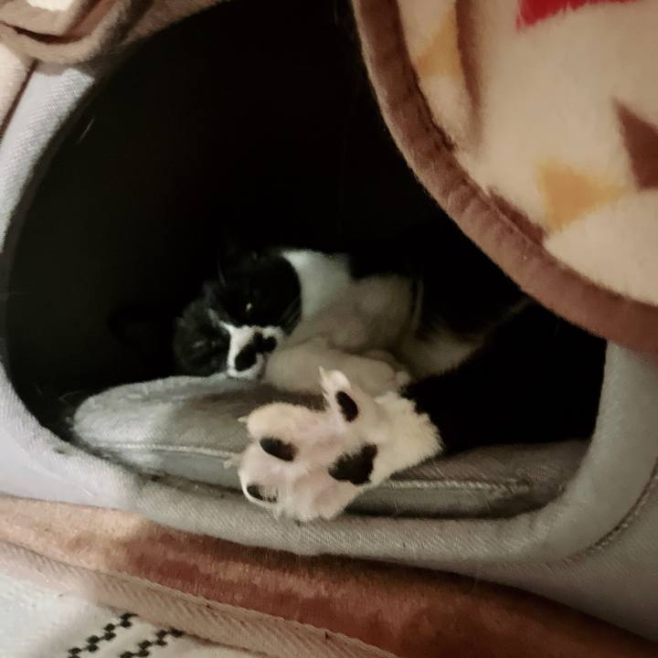 0debecbd 4846 47f5 9c1c 20e5daf5b360 1675690624566