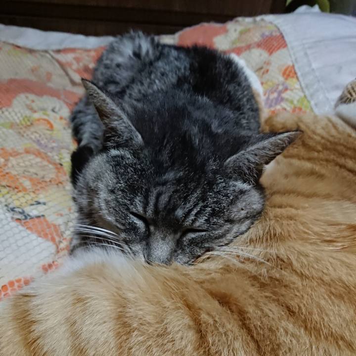 0debf22b 96c5 4c37 9af7 ae2b94ccb246 1577622149209