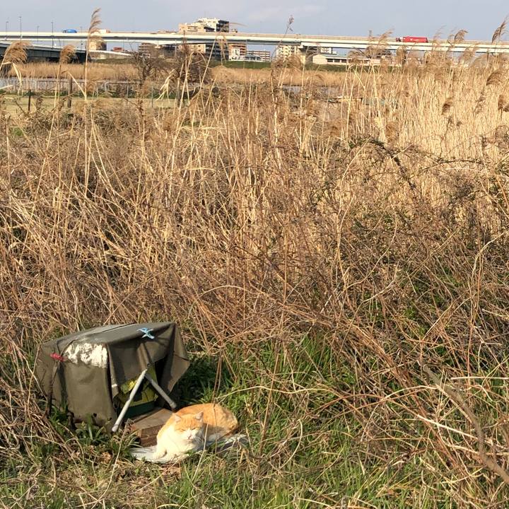 0dec5c3f 77f7 4951 a5c7 057ef8b430c3 1552764755213