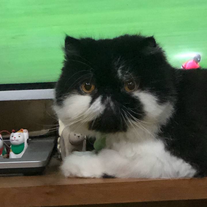 0dec70b9 651d 4910 84e6 fc22d4558899 1627479531038