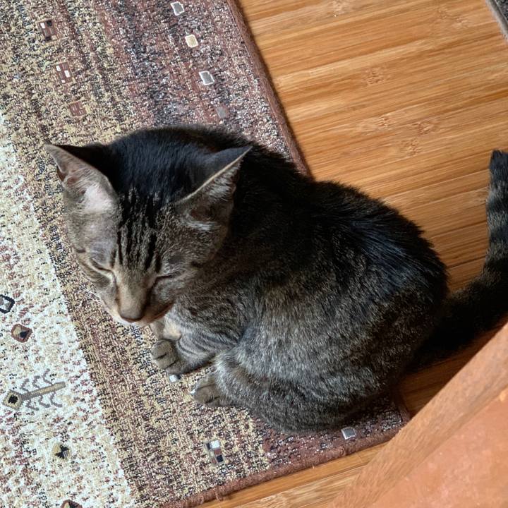 0deca90d 4d80 4cf2 a85c 0f26ccbaabc9 1592356475063