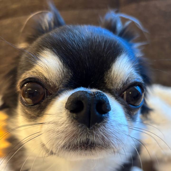 0ded2228 6383 45b6 b701 0d577fbfea53 1739055507464