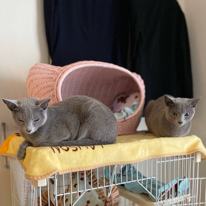 0ded4582 97f9 431d 9b24 fc245b36d73b 1682377396379