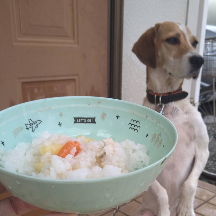 0ded937c 61a8 42f0 a51d d17b9518f977 1630379471031