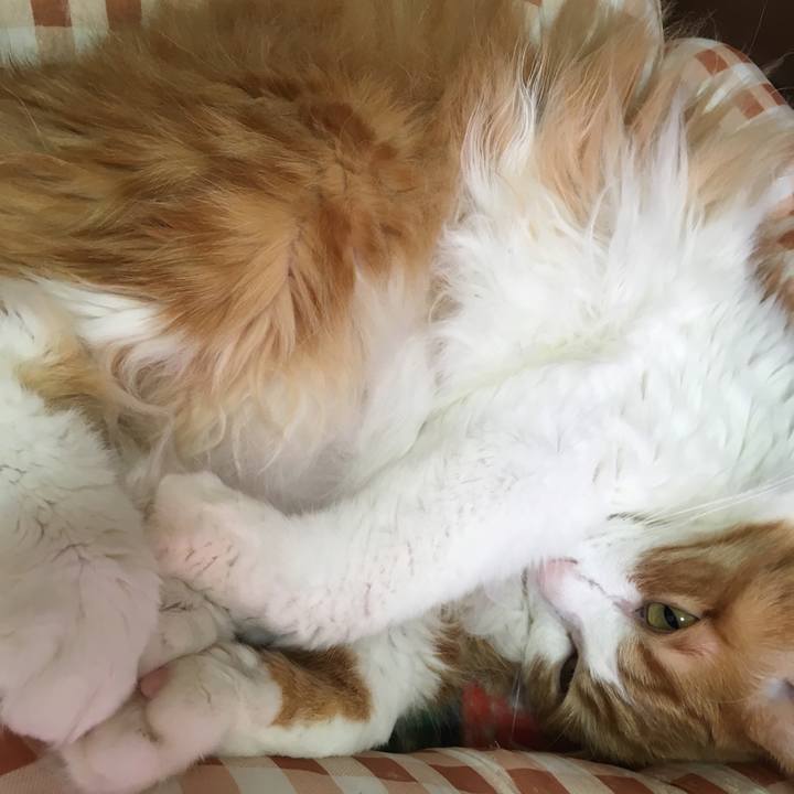 0deda3a6 4afd 41fc 9aeb 65a60bd279c0 1520834216455