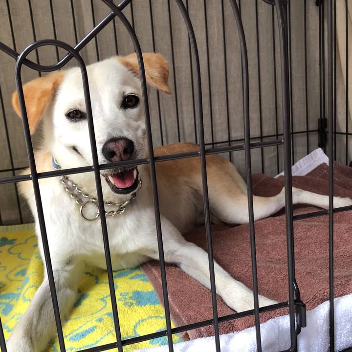 0dedcff5 91b9 4fcc a6ff 62989e758472 1623712774624