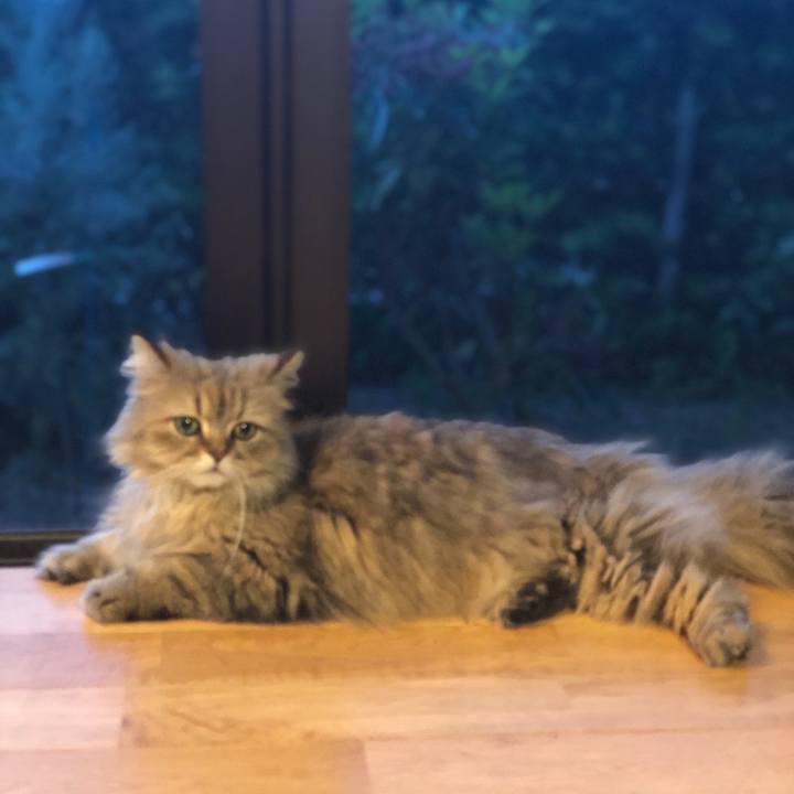 0dedeb83 3933 419d 8969 3a74e257b2d0 1558606049266