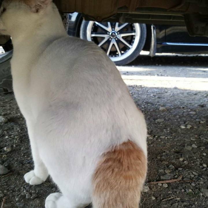 0dee08ec a93f 4e52 8b7e 51bb6ce09016 1516068040655