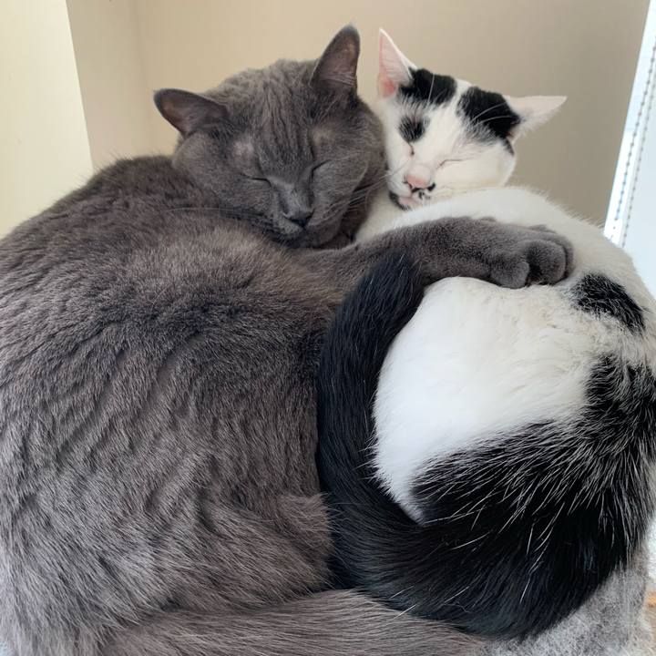 0dee7737 fea4 449b a29a 454ebcb6665c 1628469276108