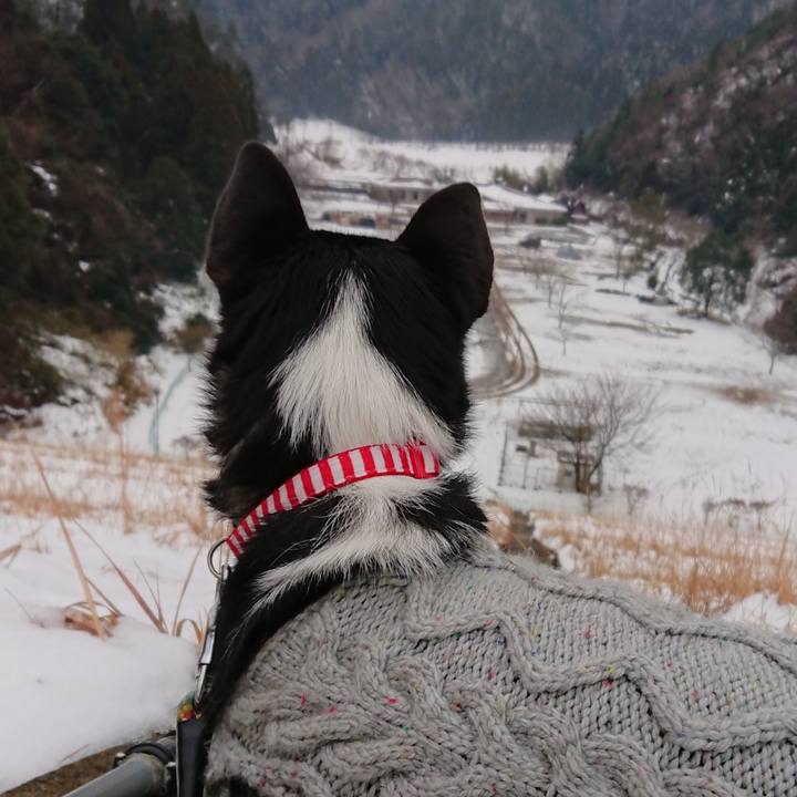 0dee7854 4a93 4610 be81 108bf31531a8 1548641655972