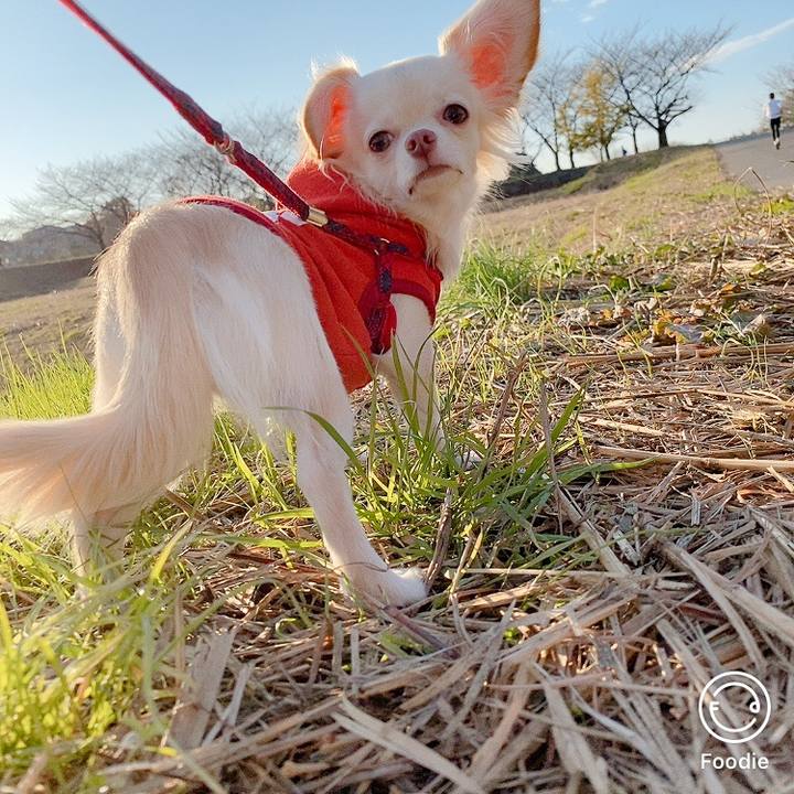 0deed066 3695 47ee b29f 49c1e89f792a 1607238227279