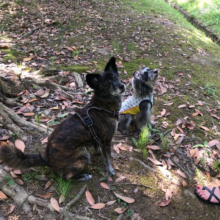 0deedde5 6883 48ab b584 abe0d24dc523 1628698374344