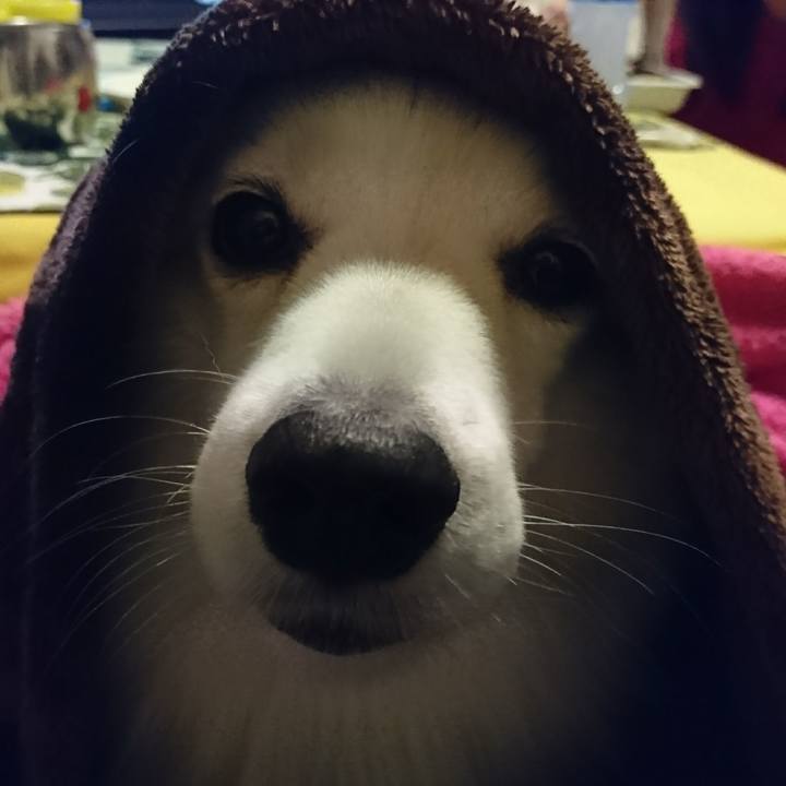 0deede81 abf2 4cce 8d85 42cabe50019b 1511007016415