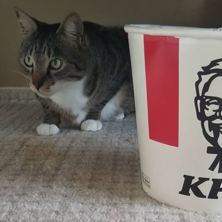 0deee950 cbf8 4451 b656 f8d111937eb0 1619310637423