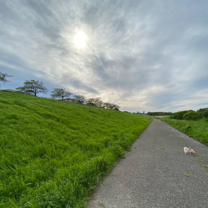 0deefe8d 8386 4ce8 ad0d 651d0063a13f 1619078224189