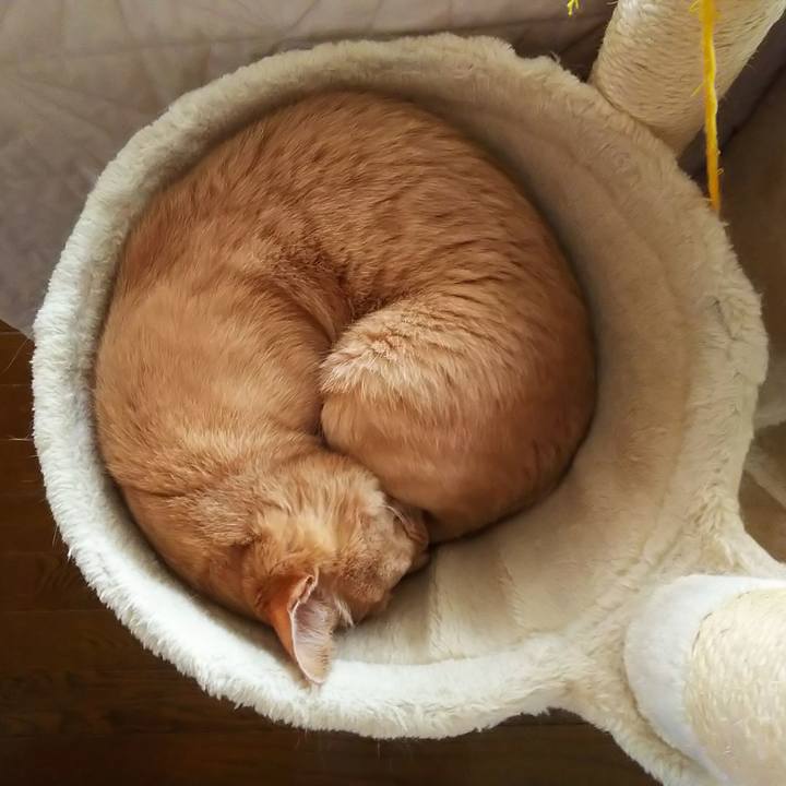 0def04ef 7298 4bb7 af4a de1db2a3d1f1 1691283075398