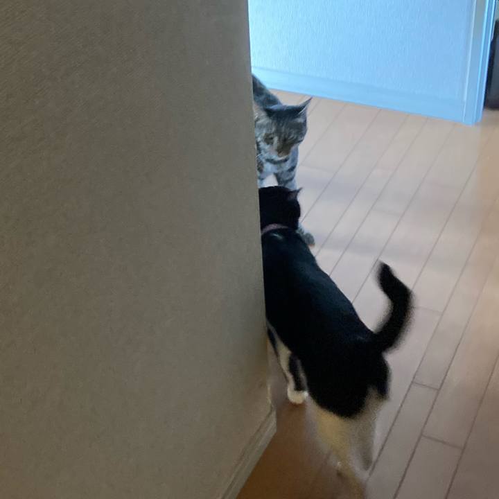 0def0976 83bf 428a b766 6920b4471813 1623736537157