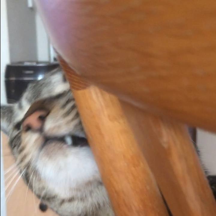 0def5c3a ad53 49ab 8418 9404691f3d82 1584852401771