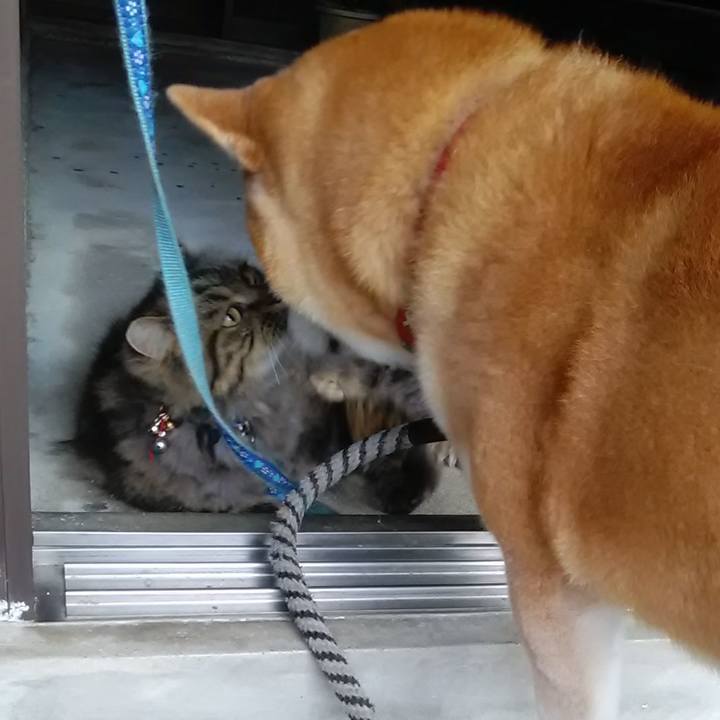 0def66cd c517 4f6a 91e3 9fb420522121 1627602345190