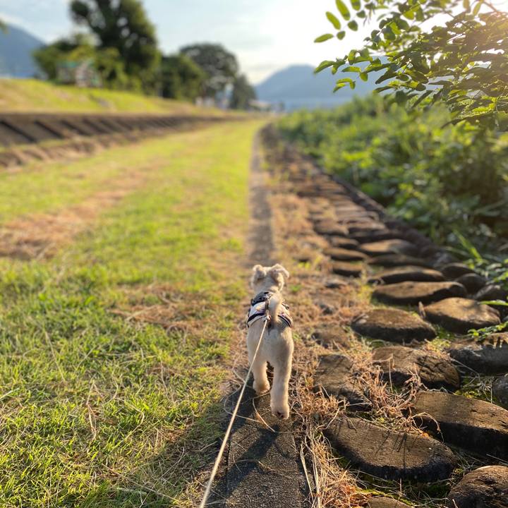 0def79fe 028e 41e9 8b21 d21622dd11b1 1597356525000