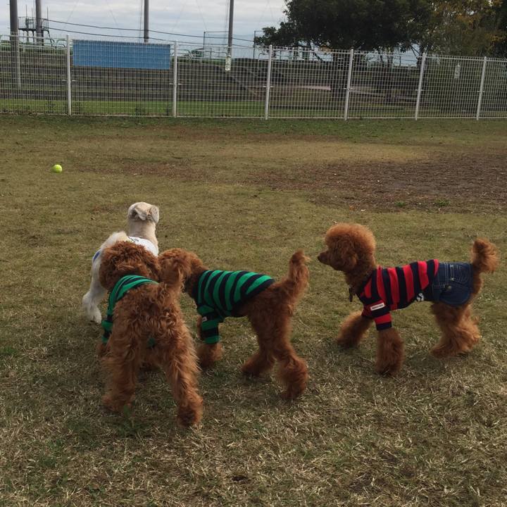 0def894e c174 45e7 b0d5 5edb4b0ff1a2 1541582315485