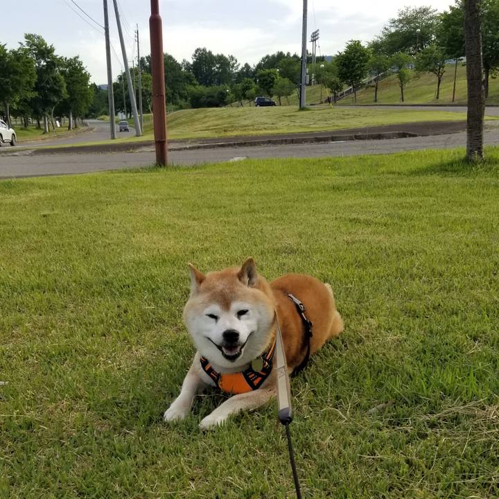 0defb0e0 6820 4a04 8391 05bb78a7d0df 1716018784546