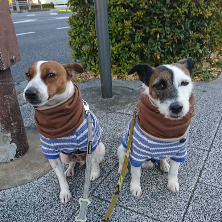 0defb5e4 92ca 49de 91ac ceffb0a46f20 1611010600349