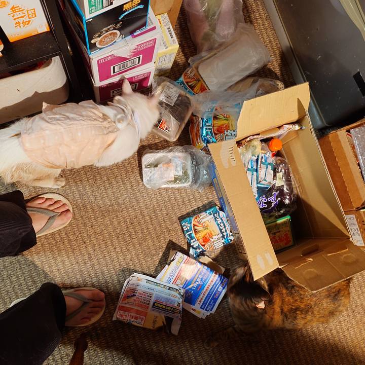 0df03cba 840f 49cf 9036 ff5d7365fe05 1758447597427