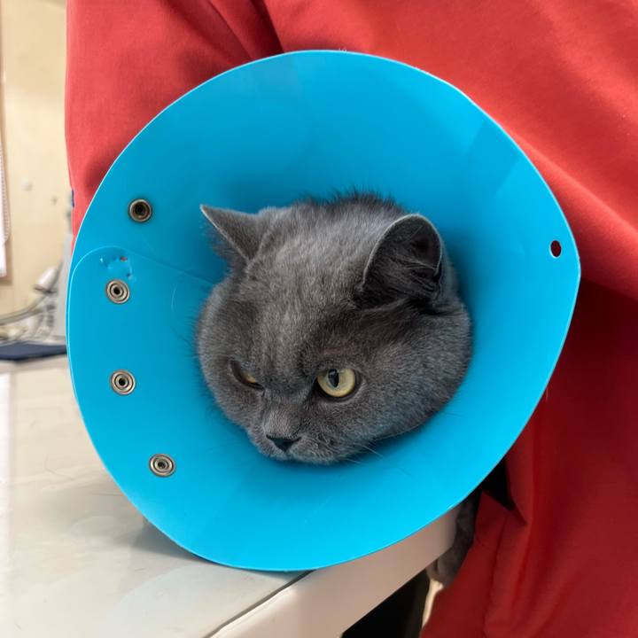 0df06168 ec2d 4cc4 95a4 80fc1e5077b7 1639300929346