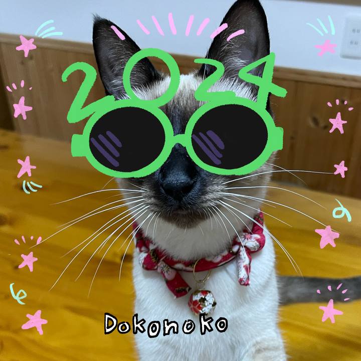 0df090fe a1da 4815 8f77 7921d04d76a5 1704244709922