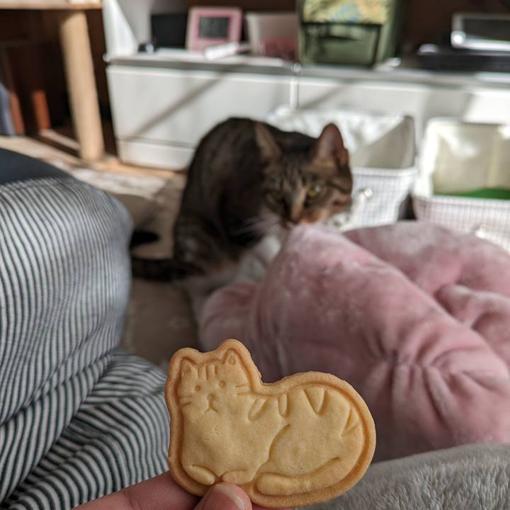 0df0d3f9 f229 4f84 ad6c 8e8794bbdbf4 1701574246157