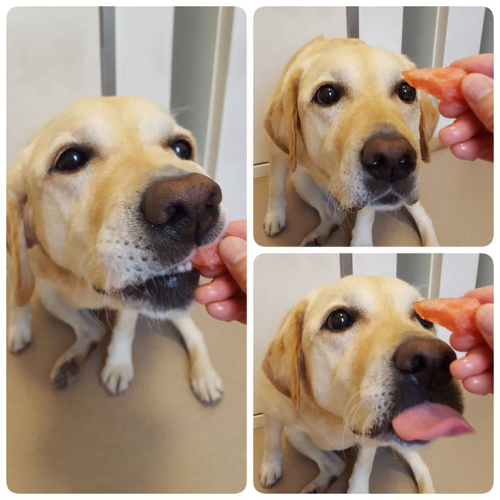 0df0ddbd b0e1 45a4 b3ac 31315ba0b02f 1593232470995