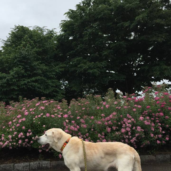 0df0e1c8 28a4 4b9f 8428 3d92a7433323 1528858039611