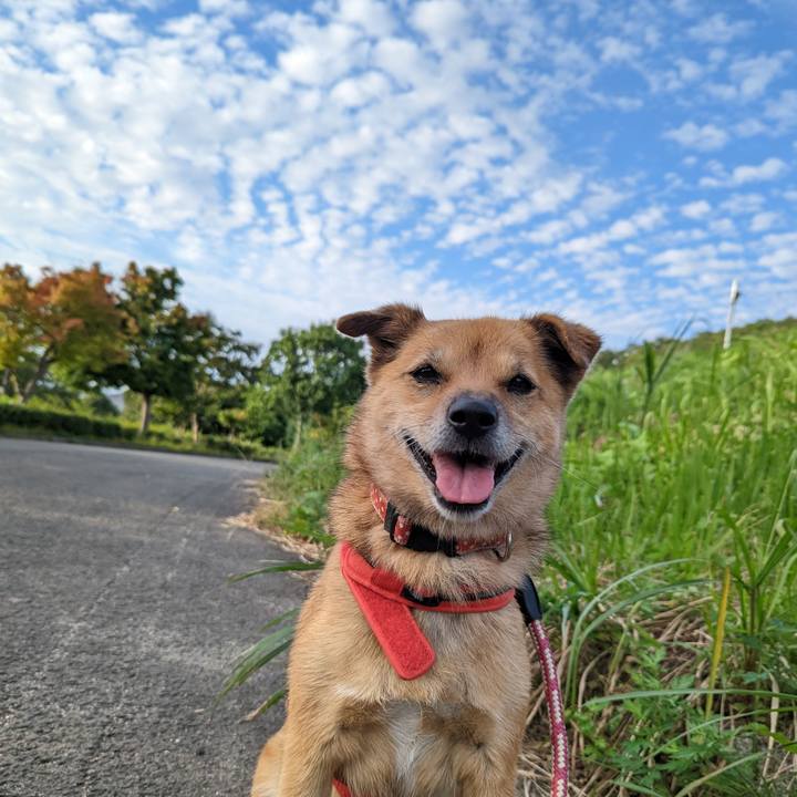 0df0e553 c3da 460a a9c6 11afd9ce420d 1664285743839