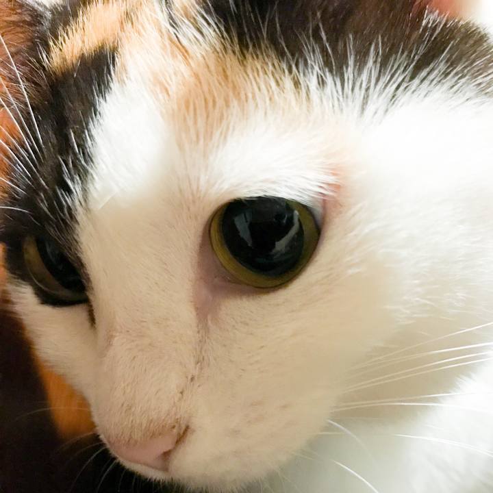 0df1236f ddc0 40e5 8837 ebe63c6378d0 1529156087345