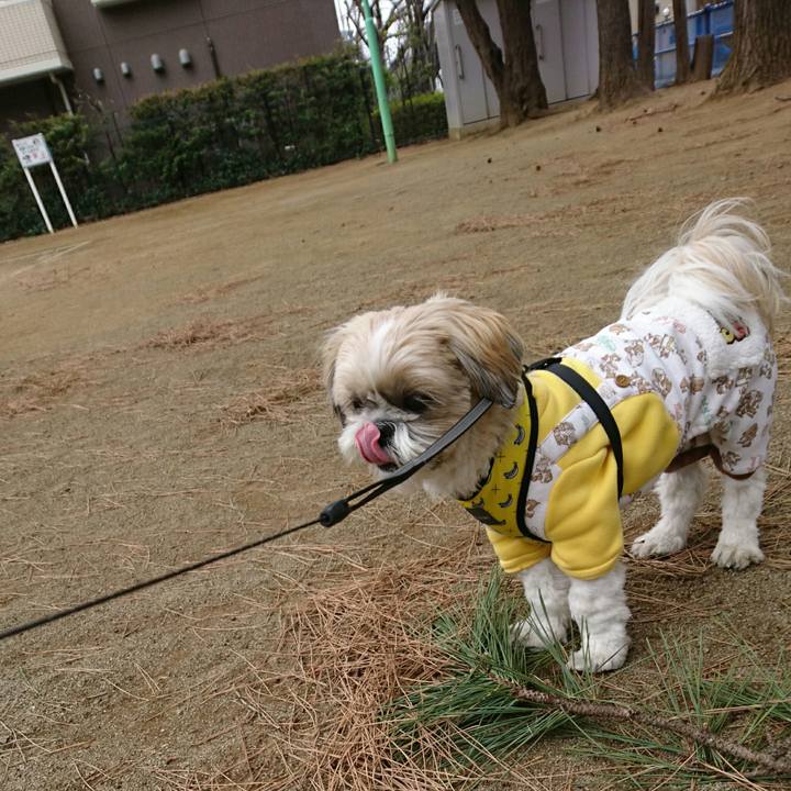 0df126b9 3514 4e2f 8e00 748db5d95c52 1549339886665