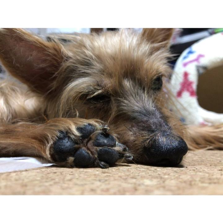 0df126ff 7391 4ec9 baa5 62c62ee613cd 1654818092100