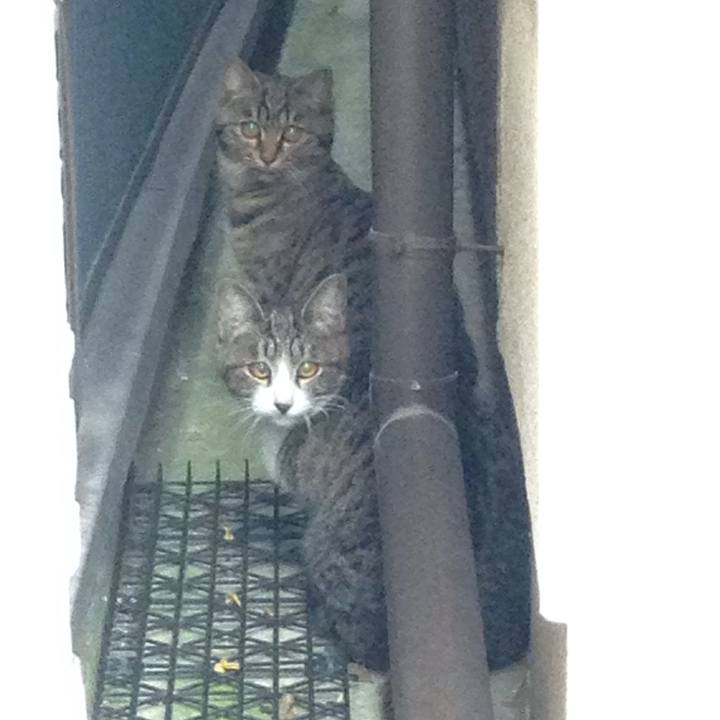 0df15ce4 99ca 485c 849c 526f7dd3ea4f 1510127435857