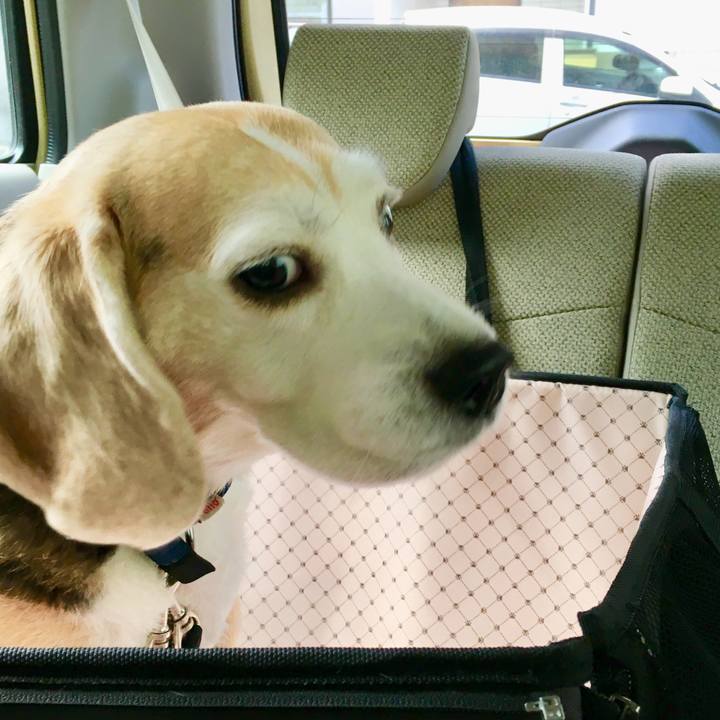 0df1652b ed15 4ed7 ba7e be9f5bf1edad 1557719462546