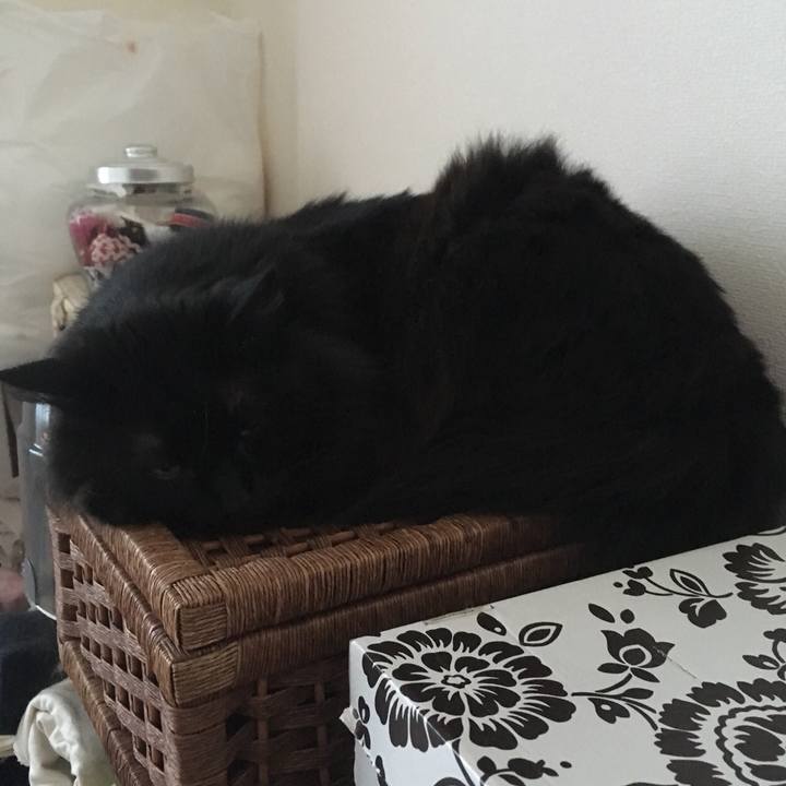 0df168db e564 444a 9bd7 c1fb42f7e925 1551052113947