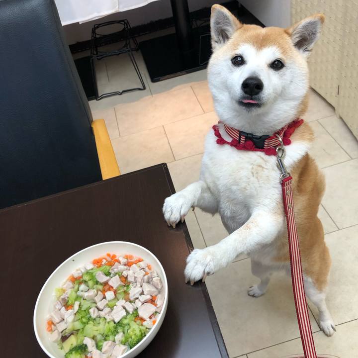 0df17621 e13d 4ed6 b27a ec77bb0862c7 1678404906134